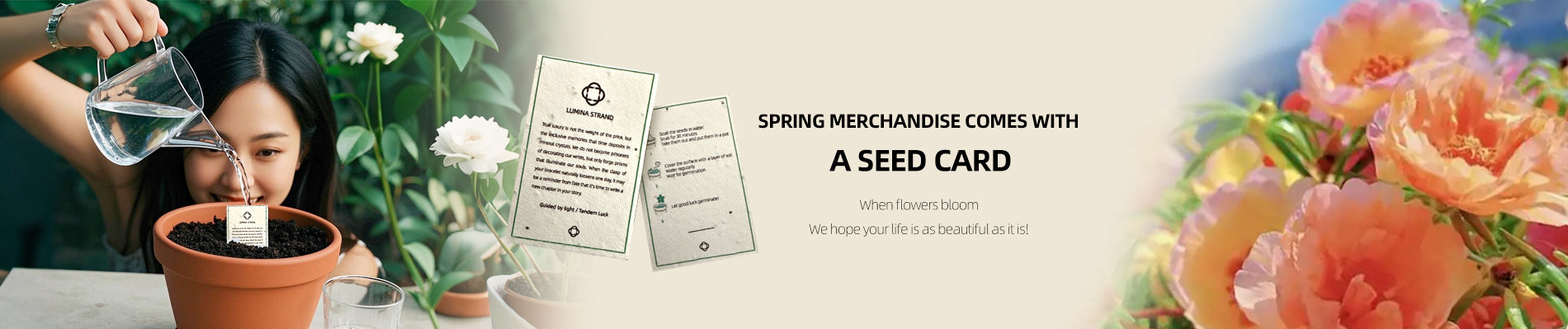 Spring Collection